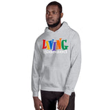 Unisex Hoodie Sport Grey / S